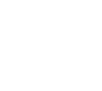 Virtual Phone Number icon